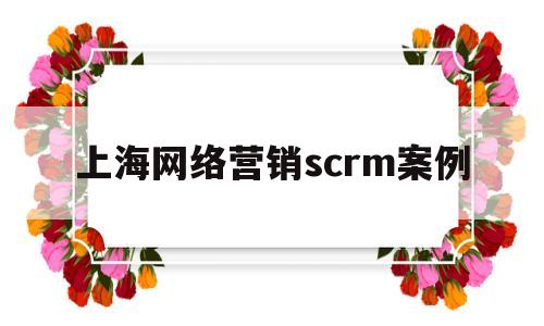 上海网络营销scrm案例(网络营销十大真实案例)