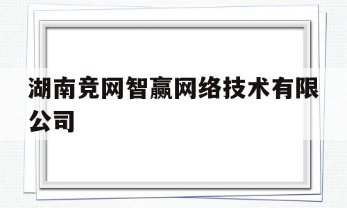 湖南竞网智赢网络技术有限公司(湖南竞网智赢业务员)