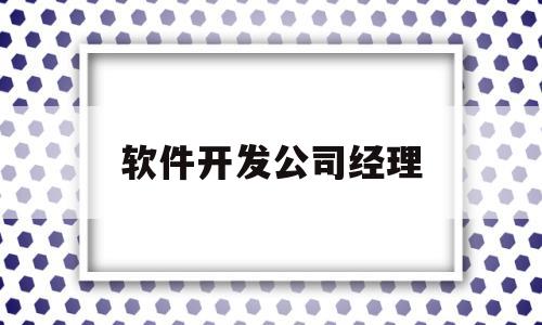 软件开发公司经理(软件开发公司经理职责)