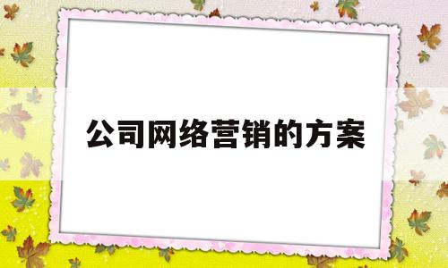 公司网络营销的方案(公司网络营销方案评估)