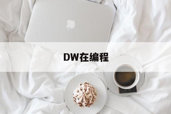 DW在编程(在dw中可以用什么来做代码编辑器)