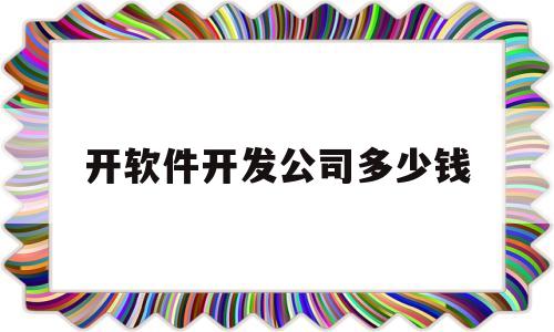 开软件开发公司多少钱(开软件开发公司多少钱合适)