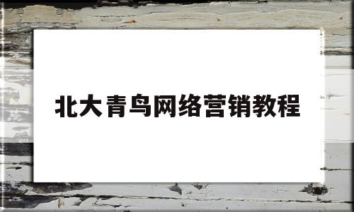 北大青鸟网络营销教程(北大青鸟的网络营销得学多长时间)