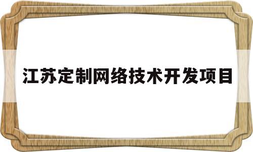 江苏定制网络技术开发项目(江苏网络技术有限公司)