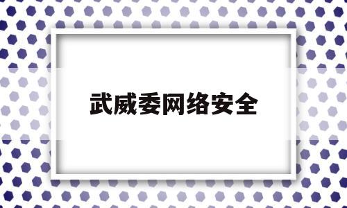 武威委网络安全(武威委网络安全局局长)