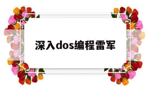 深入dos编程雷军(深入dos编程)