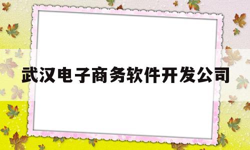 武汉电子商务软件开发公司(武汉电子商务公司有哪些)