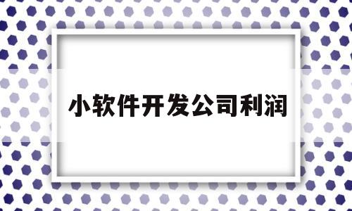 小软件开发公司利润(开发软件利润是多少)