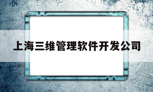 上海三维管理软件开发公司(上海三维工程)