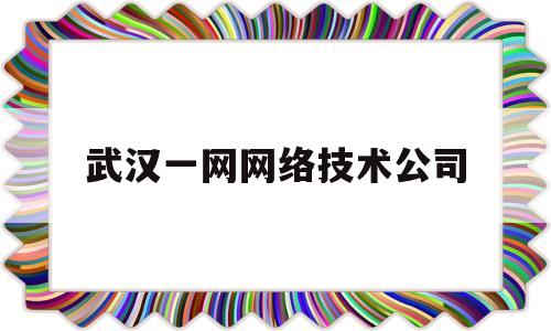 武汉一网网络技术公司(武汉一网科技地址)