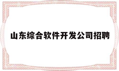 山东综合软件开发公司招聘(山东软件开发外包)