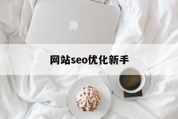 网站seo优化新手(seo网站优化方法)