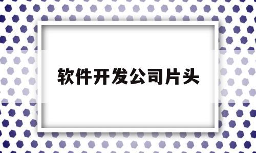 软件开发公司片头(软件开发的公司取什么名字好)