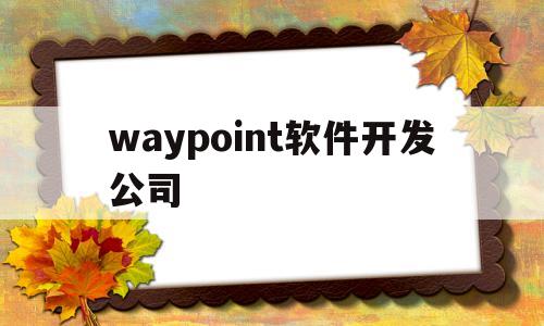 waypoint软件开发公司(开发软件的公司)