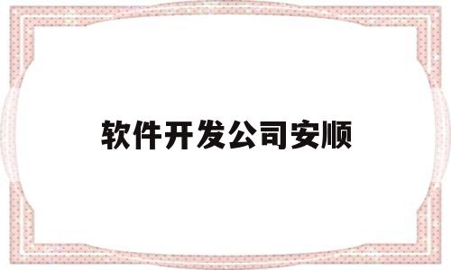 软件开发公司安顺(软件开发服务公司)