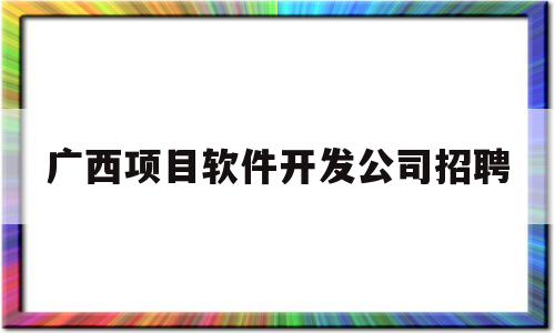 广西项目软件开发公司招聘(广西的软件公司)