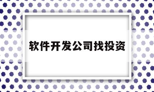 软件开发公司找投资(软件公司投资需要多少钱)