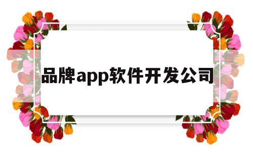 品牌app软件开发公司(app软件开发公司简介)