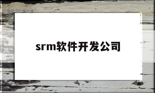 srm软件开发公司(软件公司开发平台)