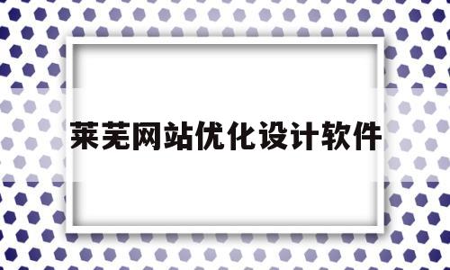 莱芜网站优化设计软件(知名的优化网站软件)