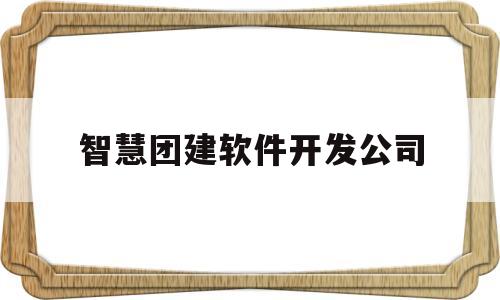 智慧团建软件开发公司(智慧团建平台)