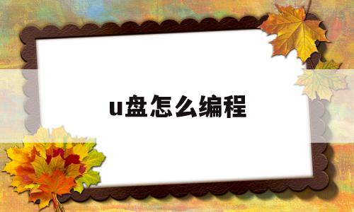 u盘怎么编程(编程u盘怎么制作)