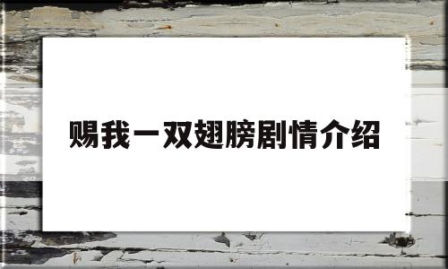 赐我一双翅膀剧情介绍(赐我一双翅膀分集介绍剧情吧)