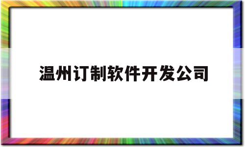 温州订制软件开发公司(温州软件公司排名)