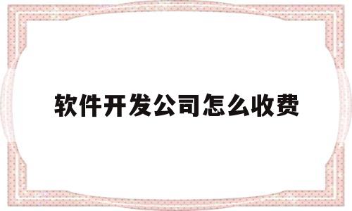 软件开发公司怎么收费(软件公司开发一个软件要多少钱)