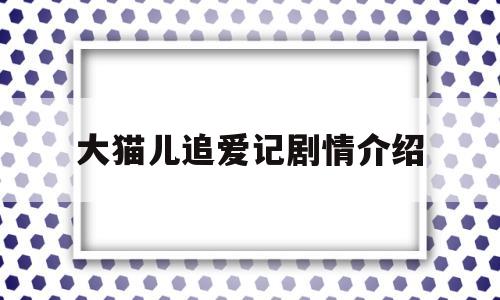 大猫儿追爱记剧情介绍(大猫儿追爱记全集在线播放)