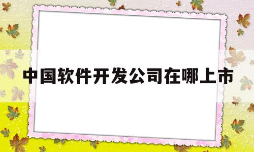 中国软件开发公司在哪上市(中国软件开发公司排行2020)