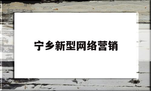 宁乡新型网络营销(宁国网络营销)