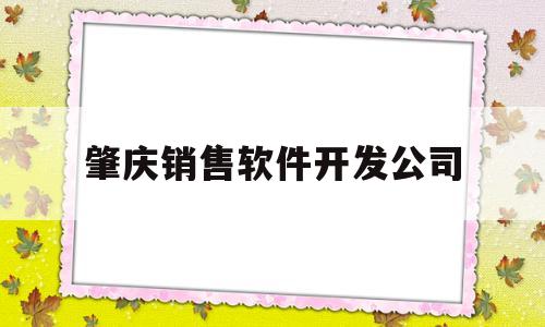 肇庆销售软件开发公司(肇庆销售软件开发公司招聘)