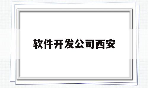 软件开发公司西安(软件开发公司西安分公司)