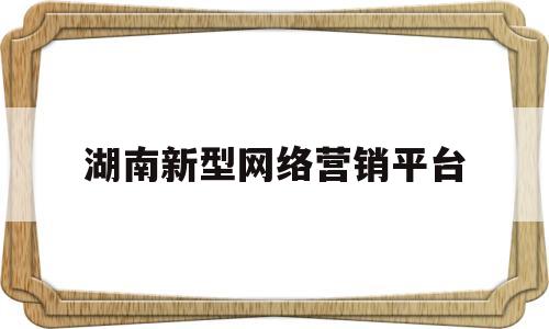 湖南新型网络营销平台(湖南网络信息技术有限公司)