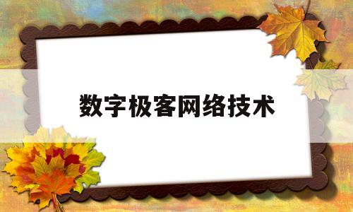 数字极客网络技术(数字极客网络技术招聘)