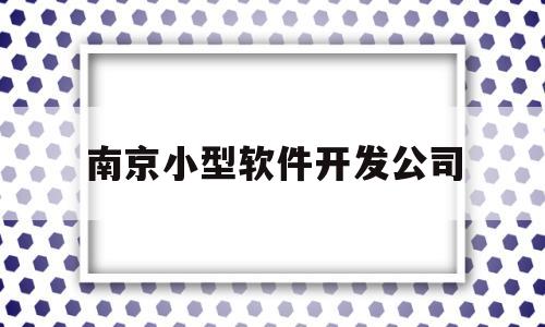 南京小型软件开发公司(南京小型软件开发公司排名)