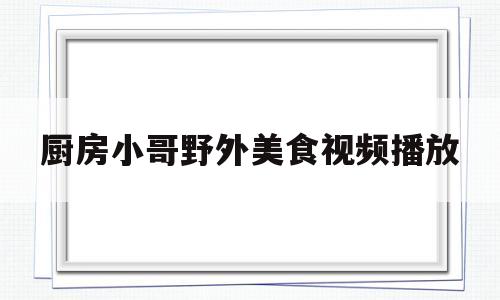 厨房小哥野外美食视频播放(有个野外做饭的小哥视频)