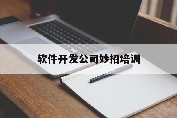 软件开发公司妙招培训(软件开发业务培训)