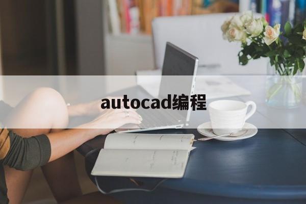 autocad编程(cad编程视频教程)