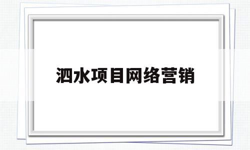 泗水项目网络营销(网络营销项目方案)