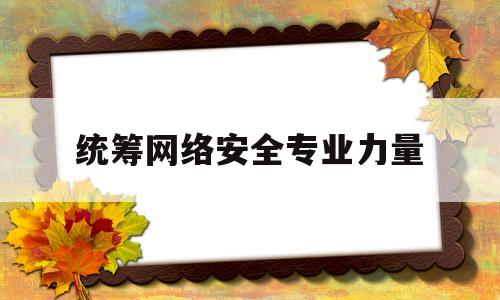 统筹网络安全专业力量(统筹协调网络安全工作和相关监督管理工)