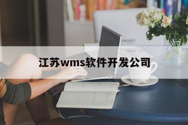 江苏wms软件开发公司(江苏软件开发公司排名)