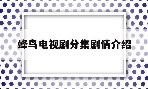 蜂鸟电视剧分集剧情介绍(蜂鸟电视剧一共多少集)