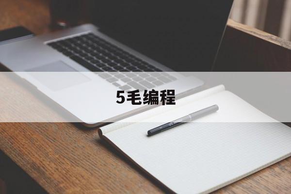 包含5毛编程的词条