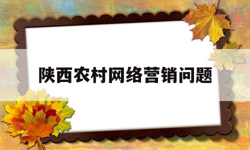 陕西农村网络营销问题(农村产品网络营销信息传递的启示包括)