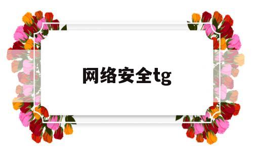 网络安全tg(网络安全tara分析)