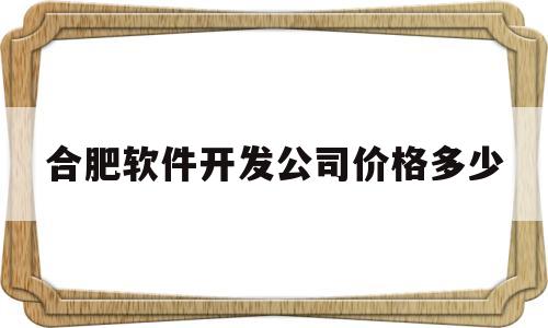 合肥软件开发公司价格多少(合肥的软件开发行业怎么样)