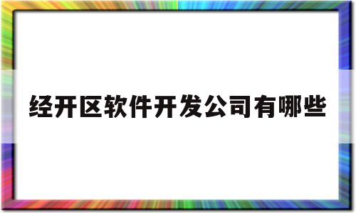 经开区软件开发公司有哪些(软件开发园区)