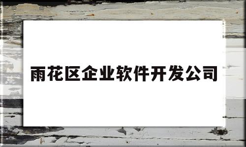 雨花区企业软件开发公司(雨花区企业软件开发公司)